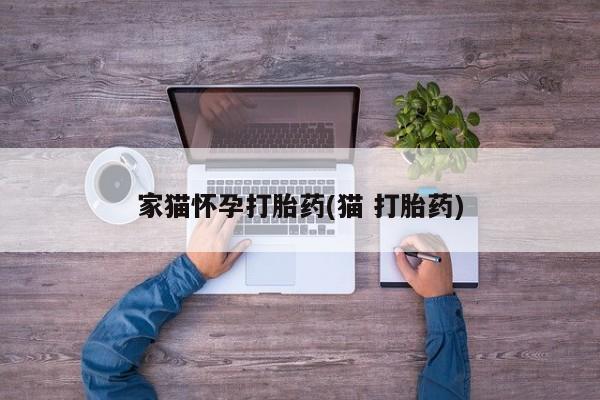 打胎药专卖微信家猫怀孕打胎药(猫 打胎药)